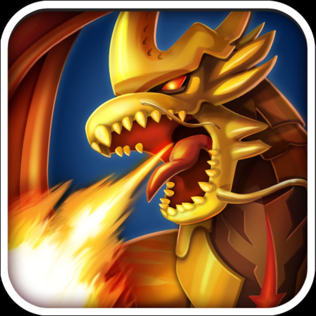 Knights & Dragons